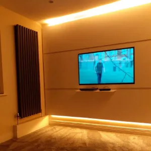 wall mounted tv